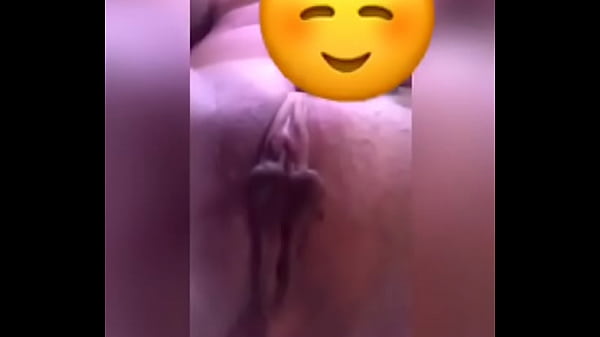 Mojada