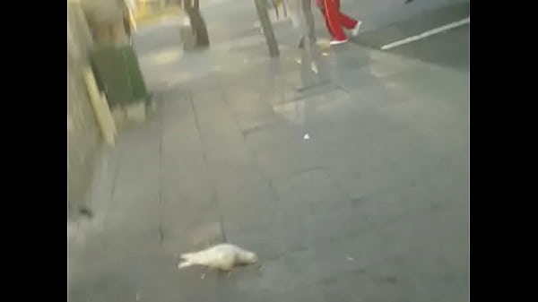 Nonton 20150407-0005 thumbnail