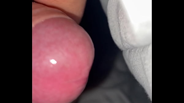 Pekeshow1620 - Update #15 - Img 9283 - Mar 11, 2025 thumbnail