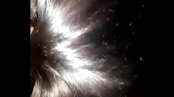 Vid-20170425-wa0000 thumbnail