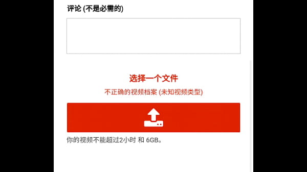 验证视频