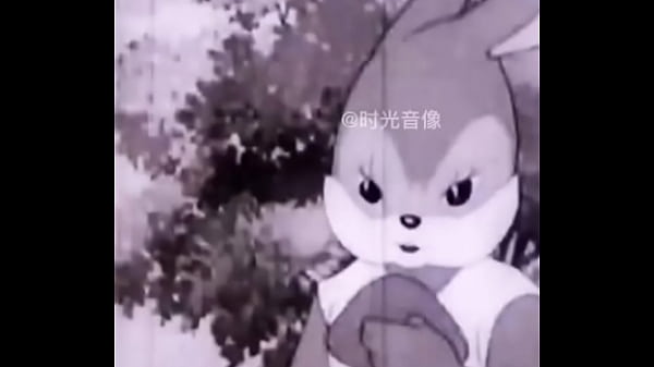 验证视频