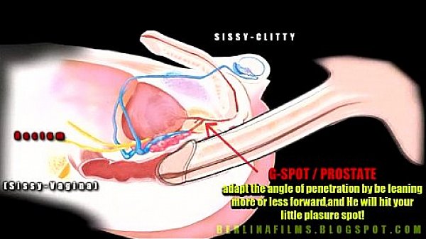 Shemale Aanatomy(some Kind Of Sissy-trainer) thumbnail
