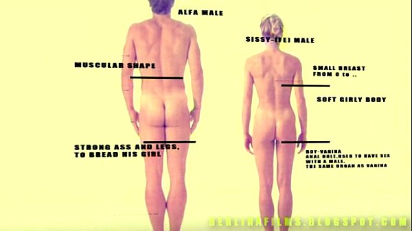 Shemale Aanatomy(Some kind of sissy-trainer)