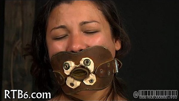 Taming A Leather Pet thumbnail