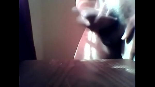 Mucha Leche