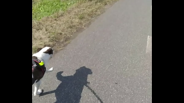 Ověřovac&iacute; Video thumbnail