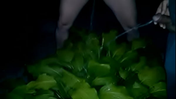 Nonton Pissing Together In Same Plant thumbnail