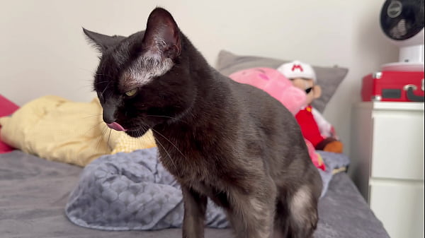 Pussy in 4K/120