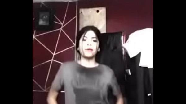 perrita ponce