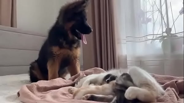 Nonton Mynet thumbnail