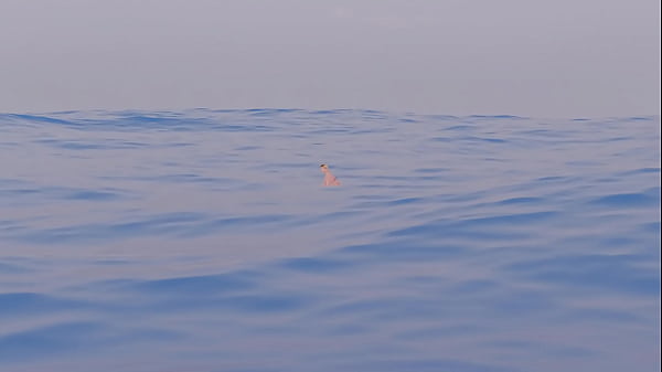 Nonton Mujer Nadando Es Comida thumbnail