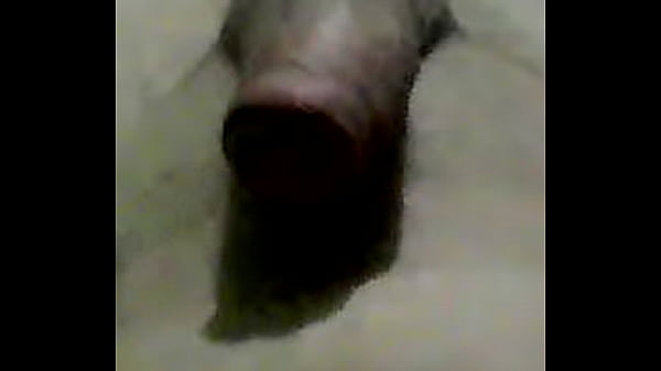 Meu pau