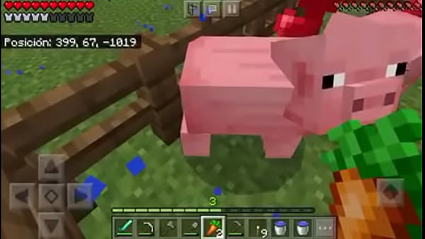 Le meto zanahoria por el ano