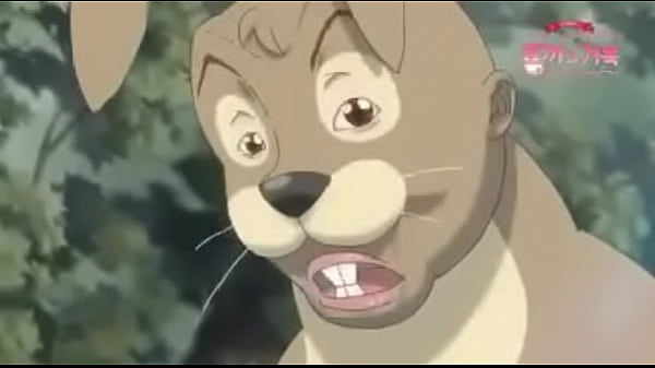 Video de v&eacute_rification