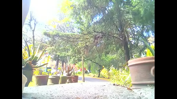 The Cd Sex 19 thumbnail