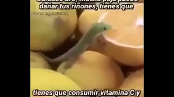 V&iacute_deo de verificaci&oacute_n