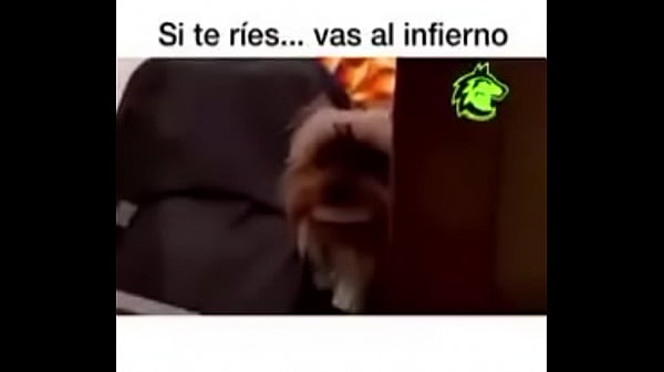 V&iacute_deo de verificaci&oacute_n