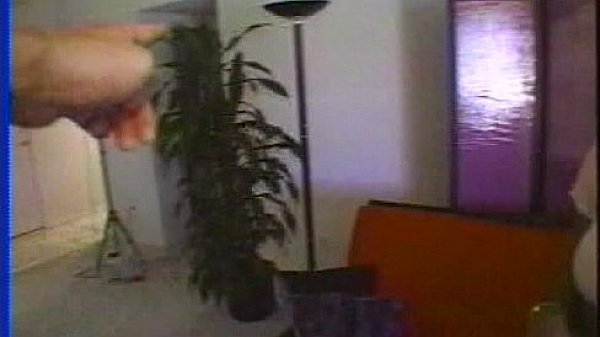 Lbo - Affrican Angels 02 - Scene 2 - Video 1 thumbnail