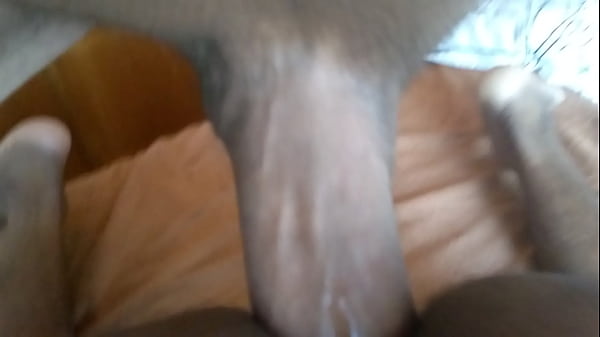 Fodendo o nego ticudo, vizinho e safado.. Ama no pelo. 