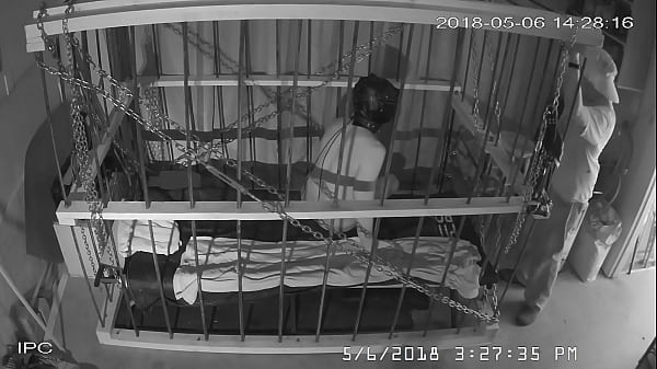 The Cage Cam May 6 2018 1420 thumbnail