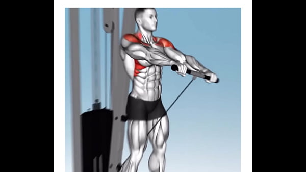 Como malhar triceps