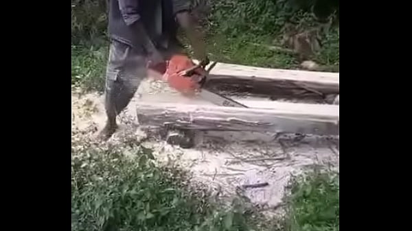 Tree fucker