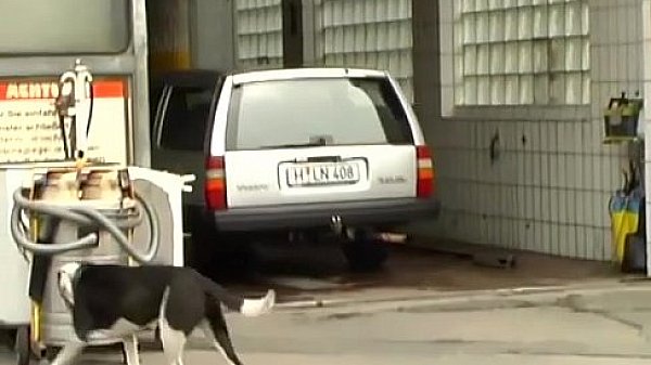 Nonton German Milf Picked Up For Car Sex thumbnail