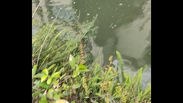 验证视频