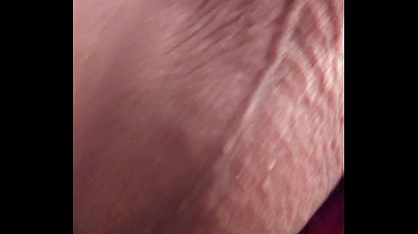Tribute 3