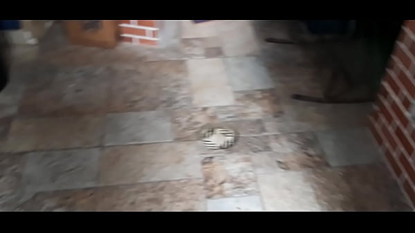 Programa 350&10 Coisas thumbnail