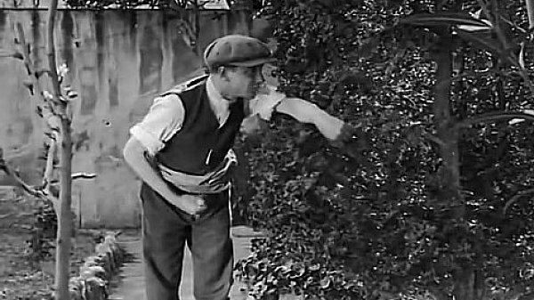 Nonton Householder Allures Her New Gardener thumbnail