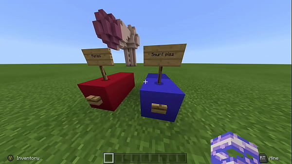 Itsboxyfish's Stream Game Multi Functional Working Pee Pee Minekweftft Pog thumbnail