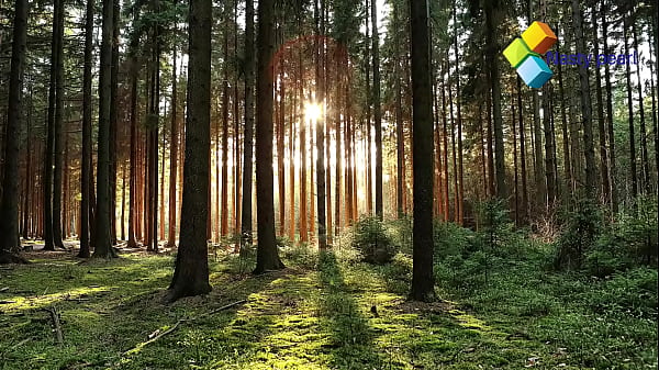 Nonton She Sucked And Licked My Creampied Pussy Like An Iceream And We Had Good Threesome With Her Husband thumbnail