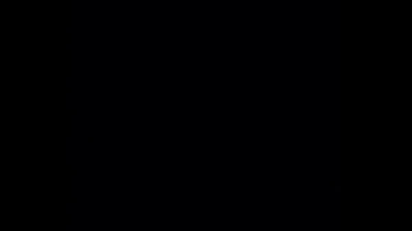 Gajus