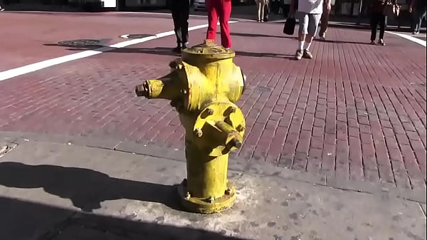 Nonton Bella Vendetta Submits Y To Lesbian Bettie Bondage In Her Sex Swing thumbnail